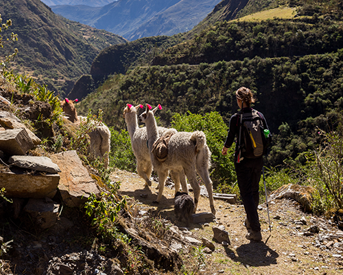 Lares Trek to Machu Picchu